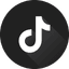 Tiktok icon